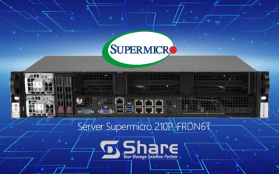 Server Supermicro per Data Center, Intel Xeon 210P-FRDN6T