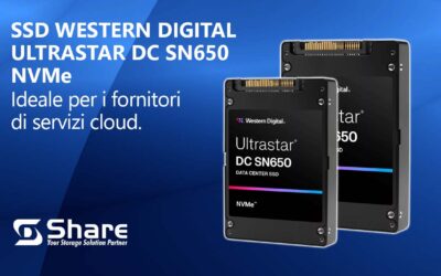 SSD Western Digital Ultrastar DC SN650 NVMe per Data Center